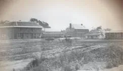 Historic Wellington street